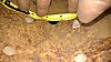 IMG_20170107_181428228.jpg