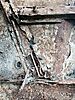 IMG_21415.jpg