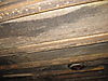 IMG_2418_1_.JPG