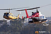 IMG_2591m_800.jpg