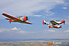 IMG_2778m_800_copy.jpg