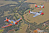 IMG_2805m_800_copy.jpg