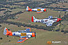 IMG_2820m_800_copy.jpg
