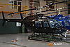 IMG_2882m_800.jpg