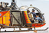 IMG_2941m_8002.jpg