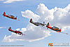 IMG_2957m_800_copy.jpg