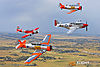 IMG_3011m2_800_copy.jpg