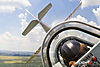 IMG_3395m_800_copy2.jpg