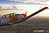 IMG_3452m_800_copy.jpg