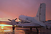 IMG_3838m9_copy.jpg