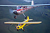 IMG_4015m_8001.jpg