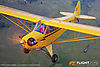 IMG_4064m_8001.jpg