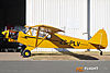 IMG_5427M_800.jpg