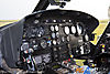 IMG_5502m_8001.jpg