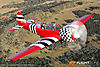 IMG_5756m_800_copy.jpg