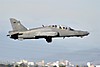 IMG_6040m_Large_.jpg