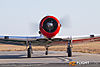 IMG_6080m_8001.jpg