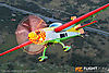 IMG_6315m_800_copy.jpg