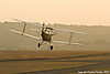 IMG_6822m2_copy.jpg