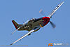 IMG_7147m_800.jpg