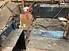 IMG_7307.jpeg