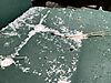 IMG_75571.jpeg