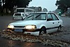 IMG_7630m_Small_.jpg