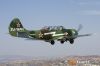 IMG_7733m_800_copy.jpg