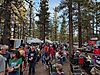 IMG_7862.jpeg