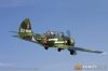 IMG_7996m_800_copy.jpg