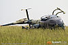 IMG_8001m_800b.jpg