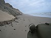 IMG_8107.JPG