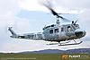 IMG_8115m_800a.jpg