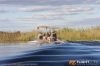 IMG_8268m_800_copy.jpg