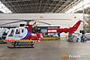 IMG_8411m_800.jpg