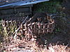 IMG_8820_1_.JPG