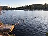 IMG_9228.jpeg