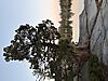IMG_9237.jpeg