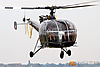 IMG_9343m_800.jpg