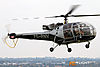 IMG_9350m_8001.jpg