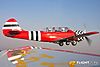 IMG_9405m_800_copy.jpg