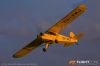 IMG_9545m_800_copy.jpg