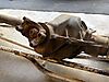 IMG_9590.jpeg