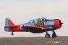 IMG_9756m_800_copy1.jpg
