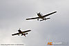 IMG_9784m_800_copy.jpg
