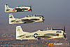 IMG_9829m_800.jpg