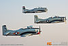 IMG_9870m_800_copy.jpg