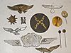 Insignia_Lot_03.JPG
