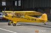 MG_0134m_copy.jpg