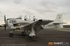 MG_0332m_800_copy.jpg